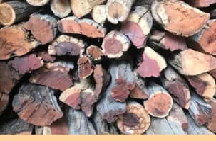 Braai Firewood